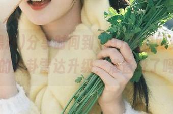 分享时间到，91黑料网免费让你的八卦雷达升级，准备好了吗？