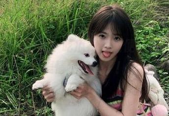 九一吃瓜视频随便一看，整个表情包都来了！