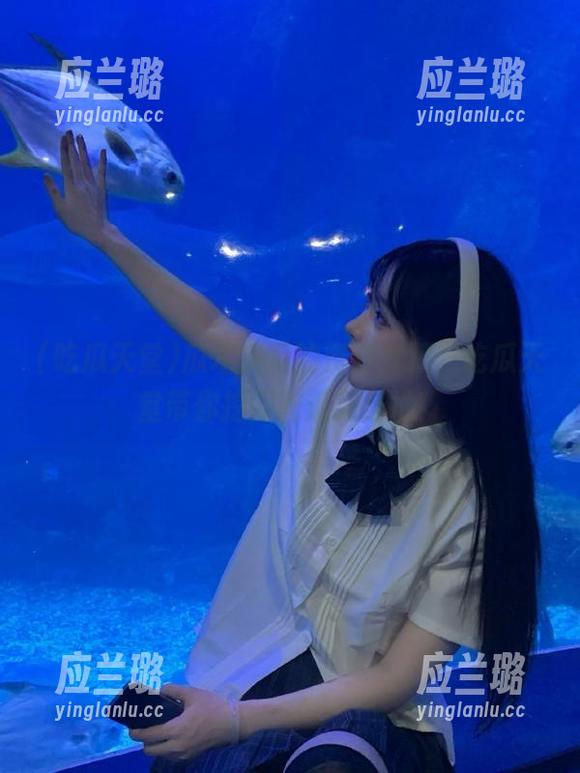 瓜木头里的资源宝藏，吃瓜天堂带你挖掘吃瓜新天地！