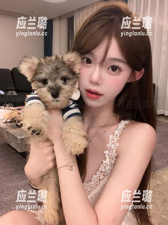 今天又花了一个小时在吃瓜网站，视频收藏数量又刷新记录！