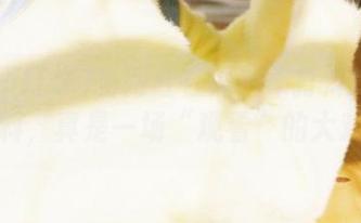 当网红在黑料不打烊tttzzz上爆料，真是一场“观看”的大戏啊！
